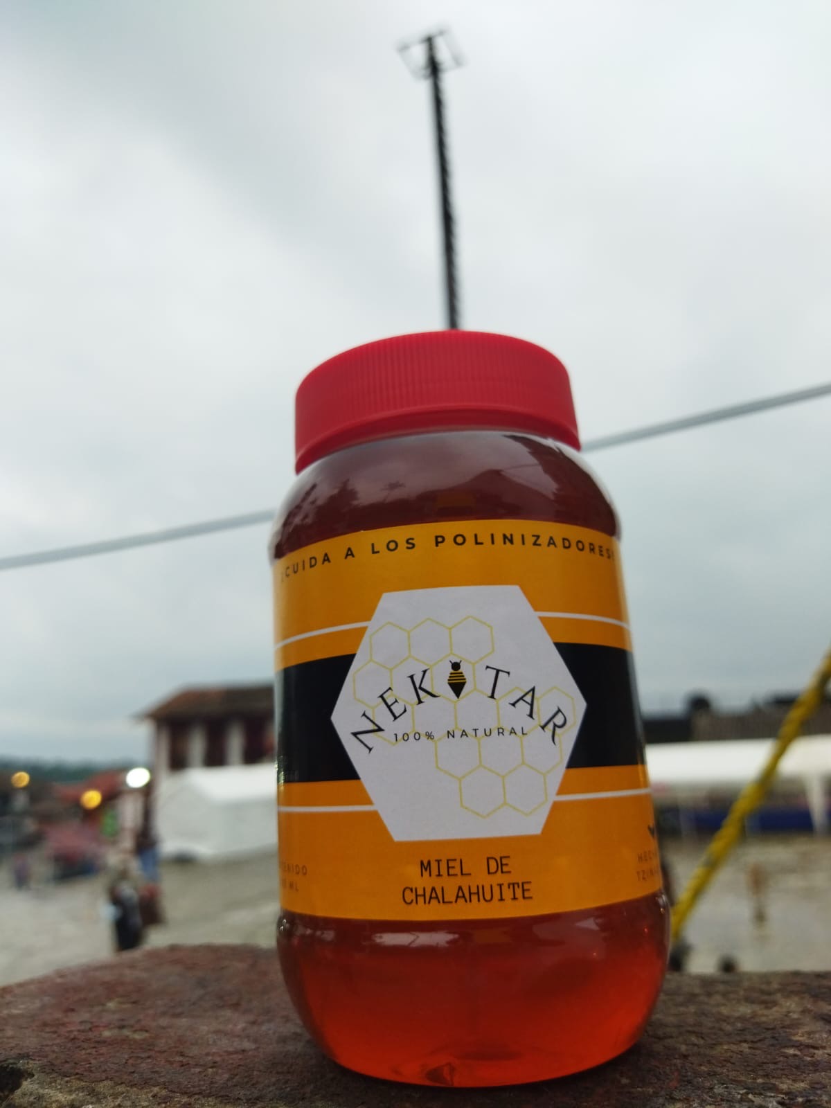 NEKTAR